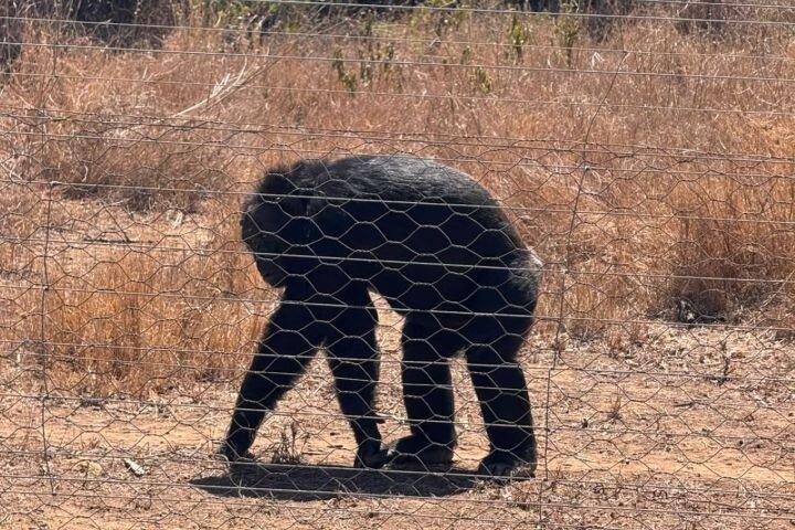 ナイロビからオルペジェタ保護への日帰りツアー