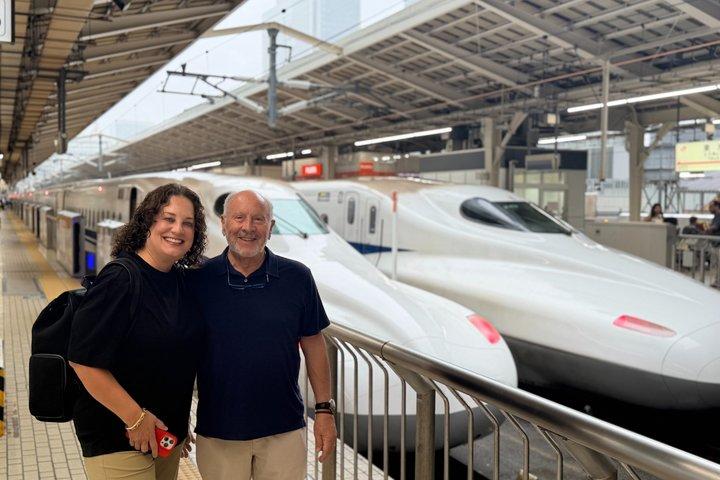 Dagstur Kyoto fra Tokyo med en licenseret guide med Bullet Train
