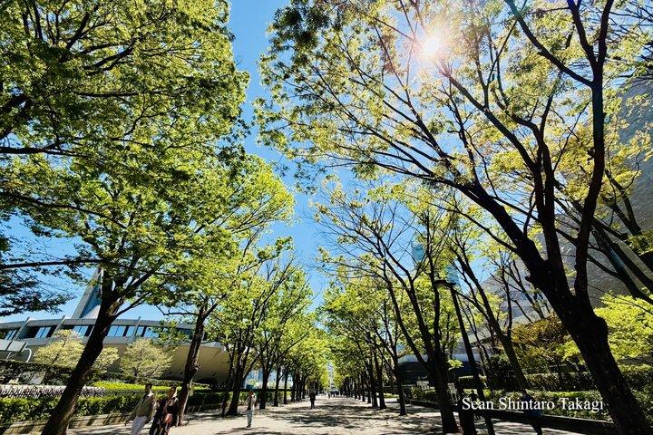 Tokyo Private Tour with Licensed Guide: 100% Customizable