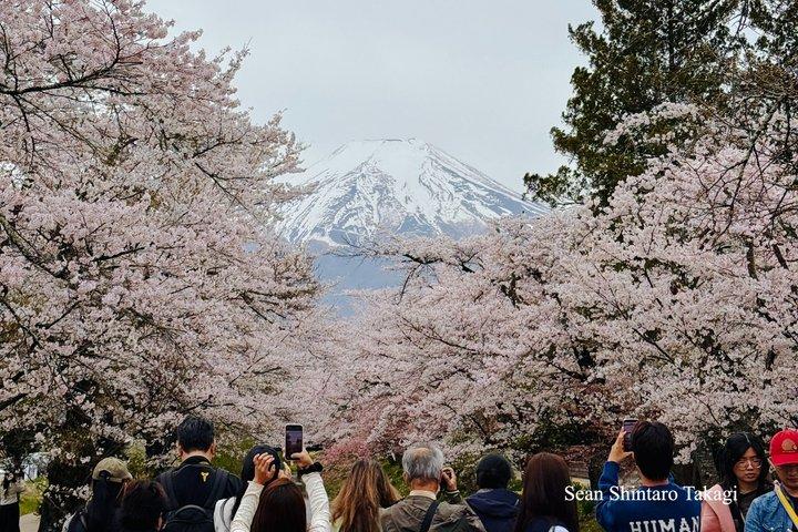 Tokyo Private Tour with Licensed Guide: 100% Customizable