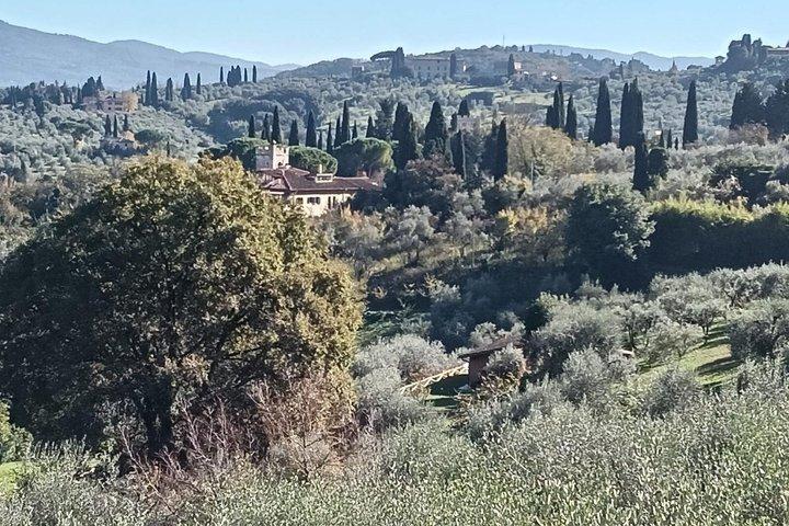 Visite privée en panier golf à Florence