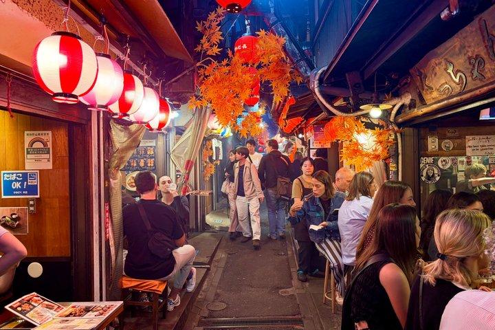 Shinjuku Nightlife Highlights Walking Tour with Guide