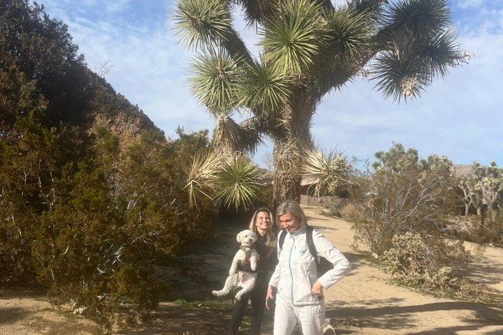 Explore the Bohemian vibe in Joshua Tree