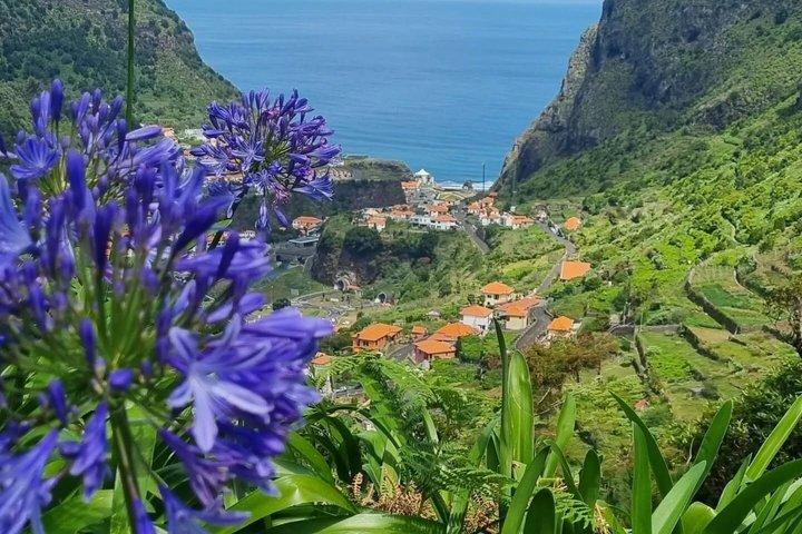 Madeira Private Cruise Ship Excursion