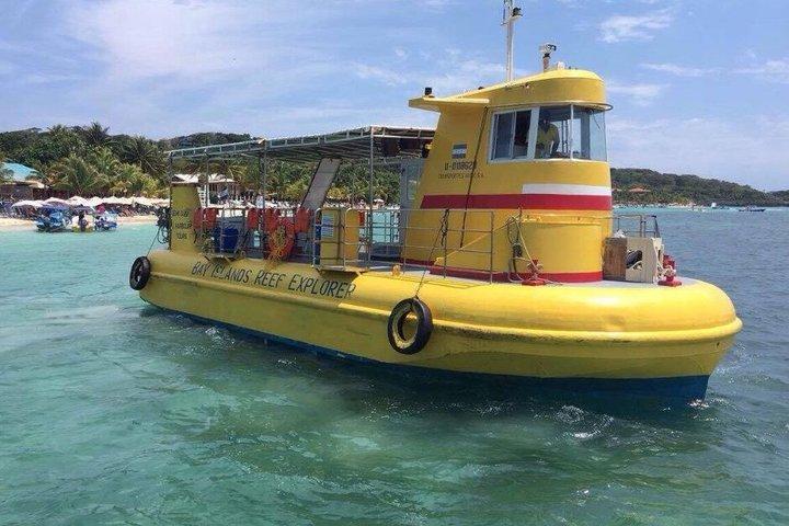 Roatán Semi-Submarine, Wildlife Encounter & Beach Break