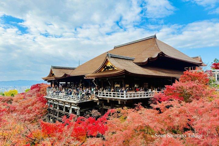 Kyoto Private Tour with Licensed Guide: 100% Customizable