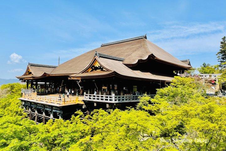 Kyoto Private Tour with Licensed Guide: 100% Customizable