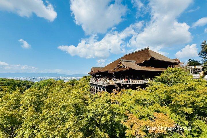 Kyoto Private Tour with Licensed Guide: 100% Customizable