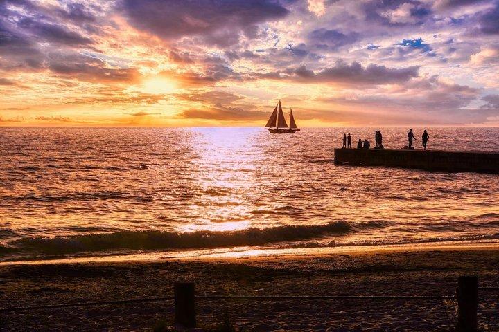 2 Hour Sunset Cabaret Tour in Sarasota