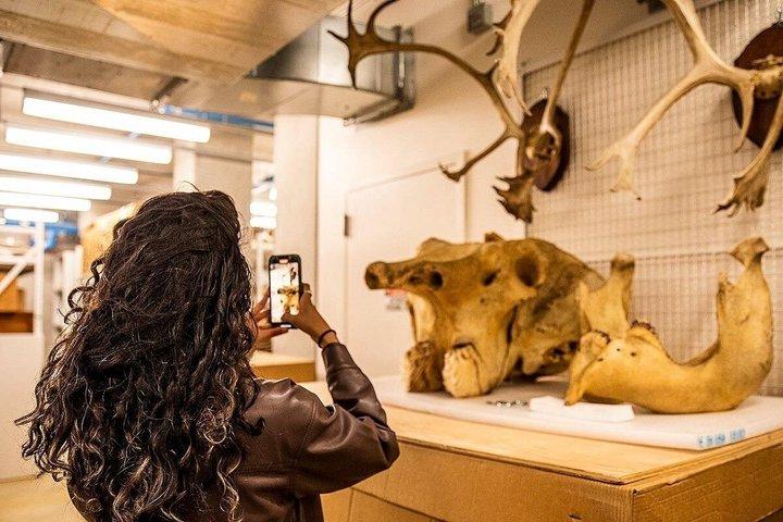 カリフォルニア科学アカデミー ナイトライフ入場券
