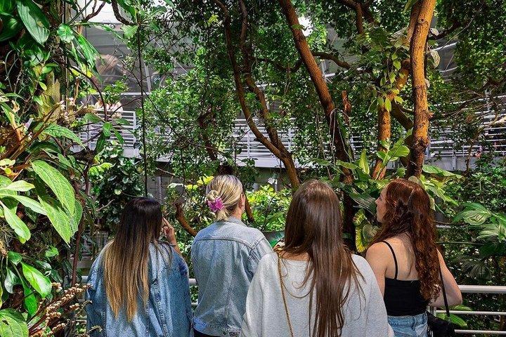 カリフォルニア科学アカデミー ナイトライフ入場券