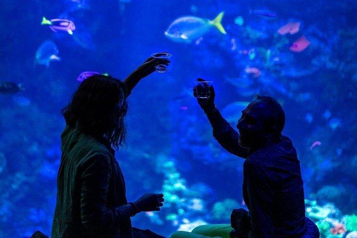 カリフォルニア科学アカデミー ナイトライフ入場券