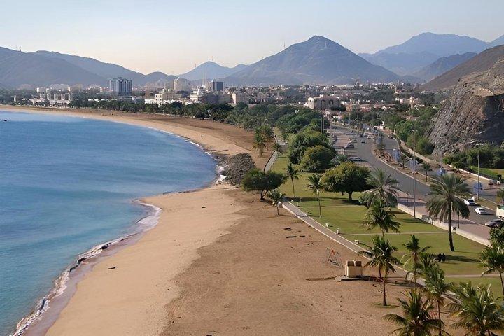 1日で6つのエミレーツを巡る-UAEの都市と名所を6つ探索-プライベートツアー