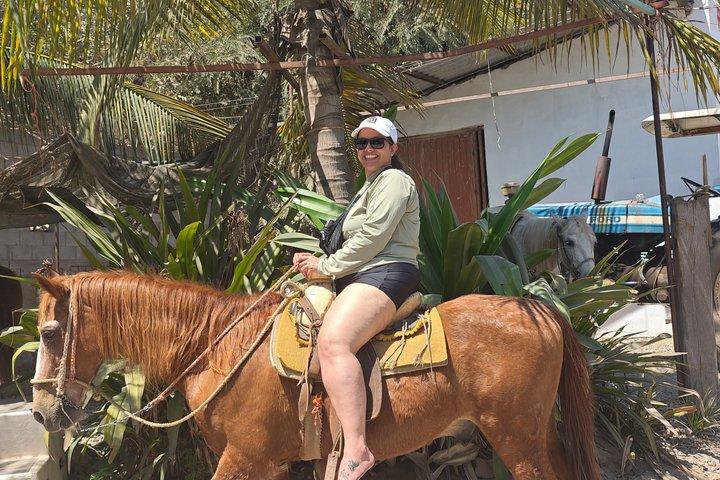 オールインクルーシブビーチクラブ、ウォータースポーツ、乗馬、フード＆ドリンク