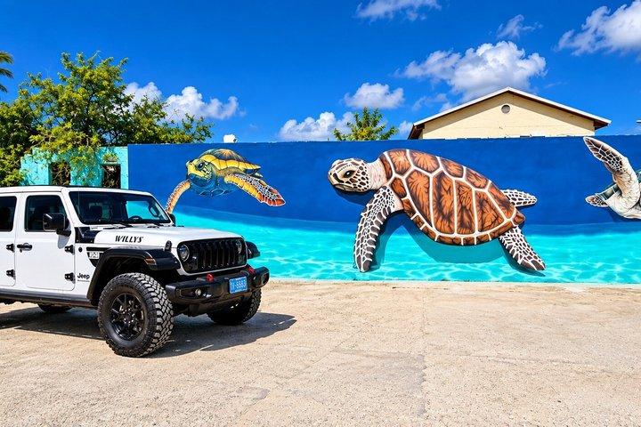 Aruba VIP Private Jeep Island Experience