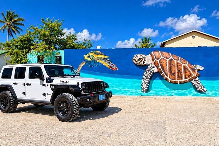 Aruba VIP Private Jeep Island Experience