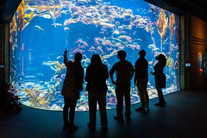 カリフォルニア科学アカデミー ナイトライフプラス入場券
