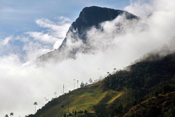 Tour hill Morrogacho Cocora Valley