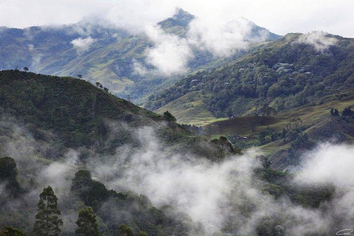 Tour hill Morrogacho Cocora Valley