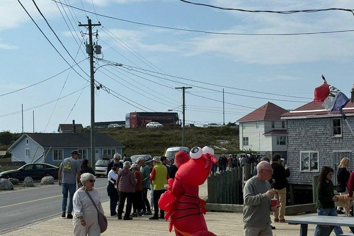 ペギーズ・コーブ景勝地ツアー：ハリファックスのハイライトをすべて巡る