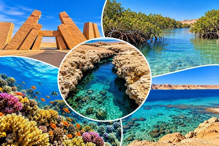 Ras Mohammed National Park Day Trip by Bus