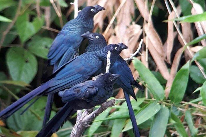2 Day Manu National Park Adventure Experience