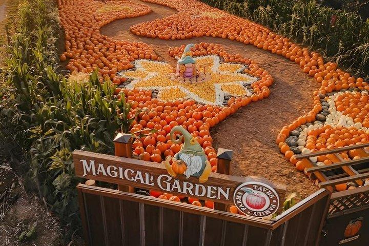 Tour dalla Fraser Valley Family Farm a Pumpkin House con Guida