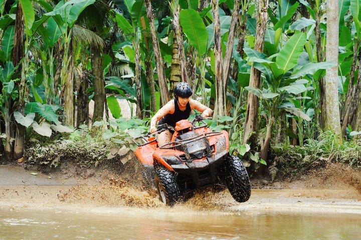 ATVアドベンチャー、ラフティング、バリ島スイングの理由