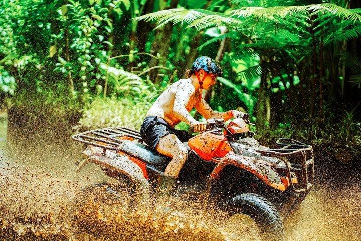 ATVアドベンチャー、ラフティング、バリ島スイングの理由
