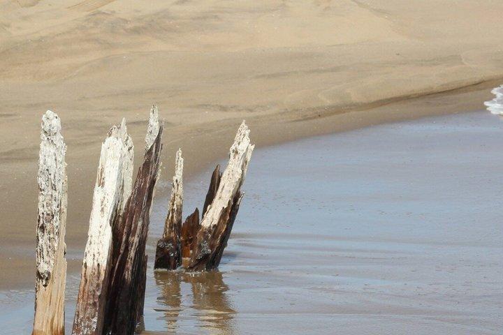 Sandwich Harbour 4x4 Guided Excursion