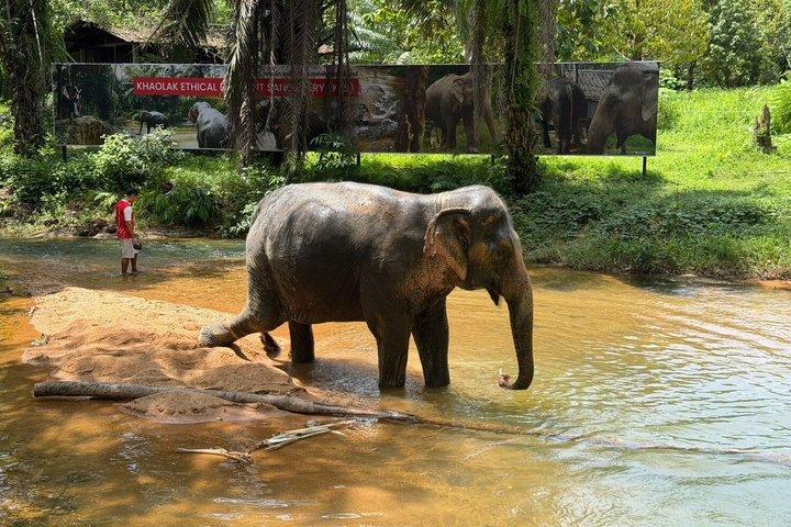 Khao Lak Elephant Sanctuary Walk with Hotel Transfer – 2 Hours