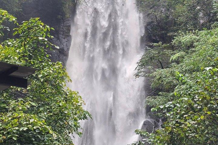 Private Full Day Tour from Batumi to Waterfalls