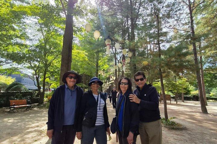 Customized Private Nami island with optional tour