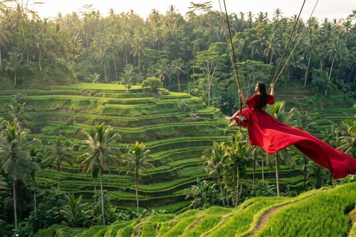 Benoa Port: Bali Shore Excursion (On-Time Return)