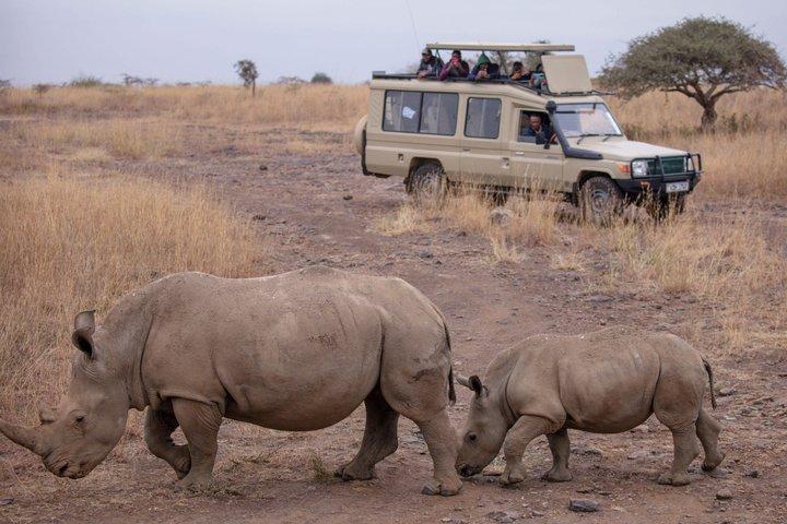 Half-Day Guided Tour in Nairobi National Park; City Skyline