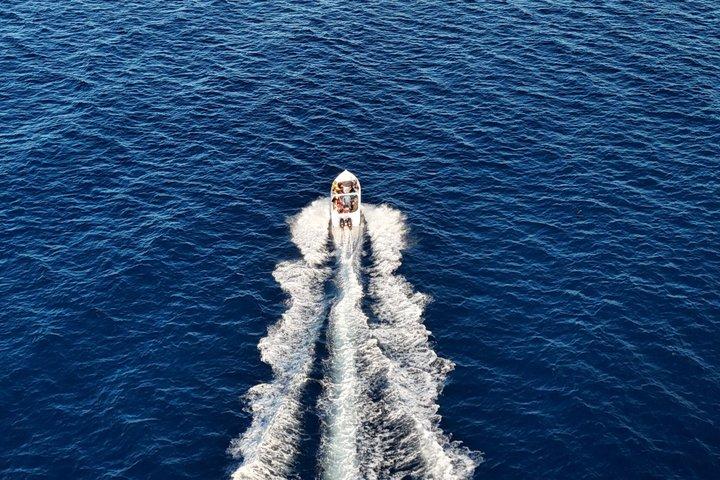 Unique whale watching experience in Mauritius
