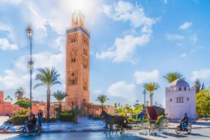 Marrakech: Vandring till Ourika-vattnet, Atlasbergen & middag vid floden