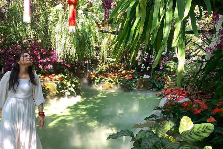 Stunning tour at Golden Triangle and 3 countries border view