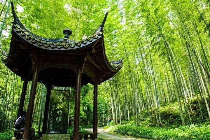 HangzhouPrivateTour:Yunxi Bamboo Path, Linyin Temple &Tea Village