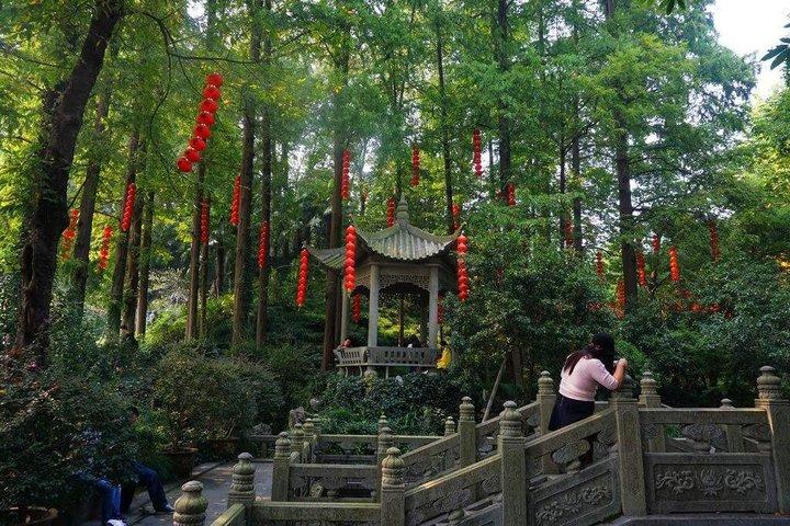 杭州プライベートツアー：雲西竹林道、臨殷寺＆茶村