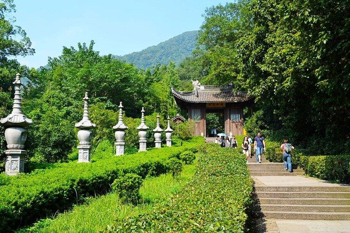 杭州プライベートツアー:雲西竹林道、臨殷寺&茶村