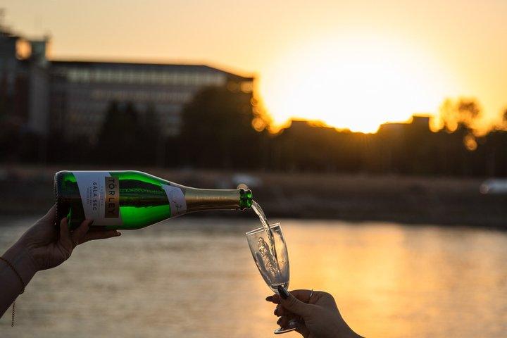 ブダペスト：飲み放題の夜の河川クルーズ