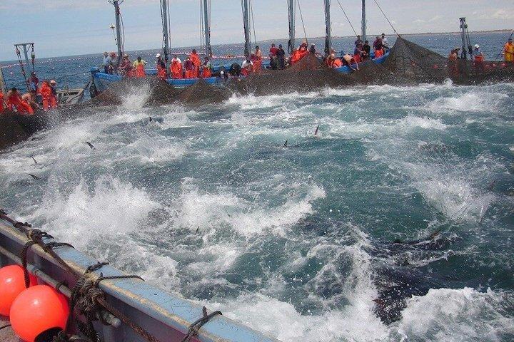 コニールのアルマドラバ釣りルート