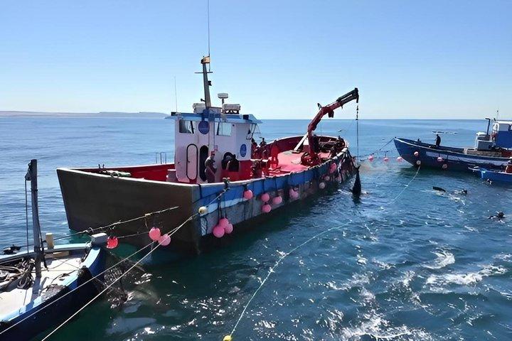 コニールのアルマドラバ釣りルート