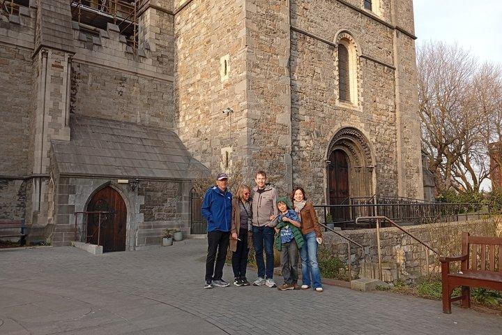 Dublin Highlights in 2 Hours: Small-Group Walking Tour