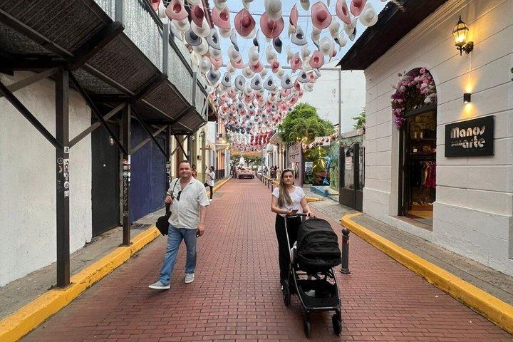 旧市街、アマドールコーズウェイ、運河、ポイントパナマのプライベートツアー
