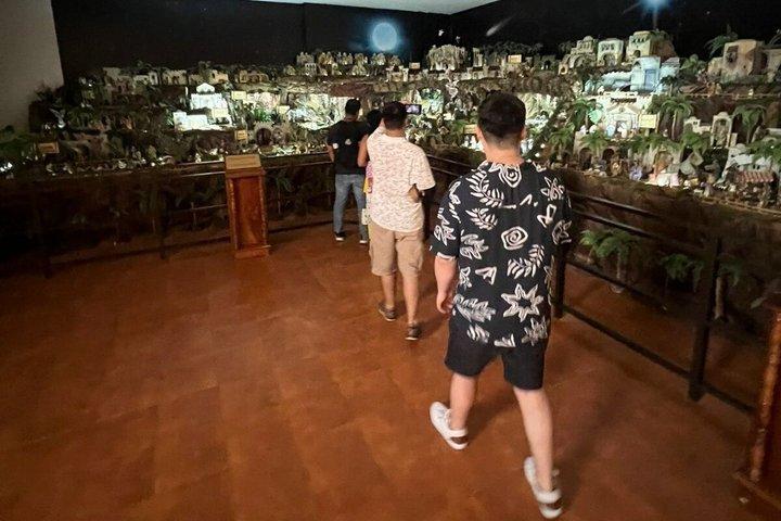 旧市街、アマドールコーズウェイ、運河、ポイントパナマのプライベートツアー