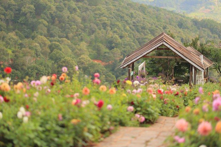 Dalat: 3 Waterfalls - Alpine Coaster - Coffee & Luge Adventure