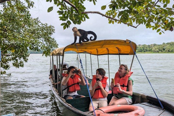 Panama Canal Boat Tour to Monkey Islands
