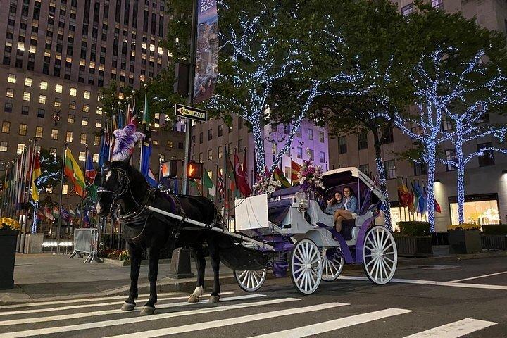 マジカル・ロックフェラー クリスマスライト 馬車乗り物